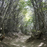ar_argentina-769655_1920
