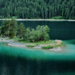 mald_eibsee-2473033_1920