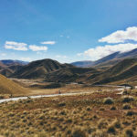 nz_cassie-matias-202984